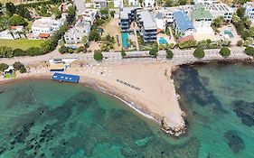 Bodrum Ada Apart Otel Turgutreis